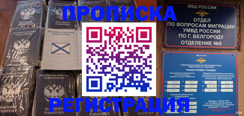 прописка гарантия в Мичуринске